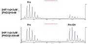 MALDI-TOF Assay for Recombinant PHD3 / EGLN3 protein