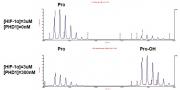 MALDI-TOF for Recombinant PHD1 / EGLN2 protein