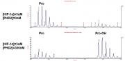MALDI-TOF for PHD2 / EGLN1 protein