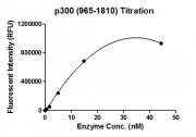HAT Assay for recombinant p300 (965-1810) protein activity