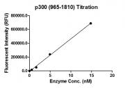 HAT Assay for recombinant p300 (965-1810) protein activity