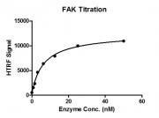 HTRF assay for FAK protein activity