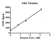 HTRF assay for FAK protein activity