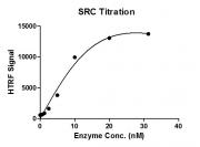 HTRF assay for SRC protein activity