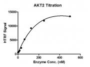 HTRF assay for recombinant AKT2 protein activity