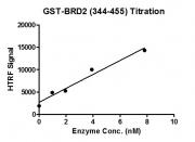 HTRF assay for BRD2 (344-455), GST-Tag activity
