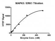 HTRF assay for MAPK3 (ERK1) protein activity