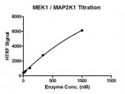 HTRF assay for MAP2K1 (MEK1) activity