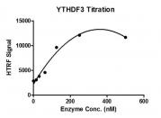 HTRF assay for YTHDF3 protein activity