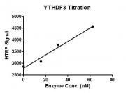 HTRF assay for YTHDF3 protein activity