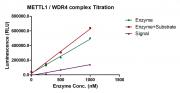METTL1/WDR4 Complex activity assay