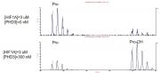 MALDI-TOF for Recombinant PHD3 (EGLN3) protein, FLAG-Tag