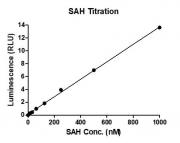 MTase-Glo Assay for Recombinant SETD6 protein methyltransferase activity