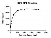 HTRF for IGF2BP1 activity