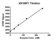 HTRF for IGF2BP1 activity