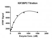 HTRF for IGF2BP2 activity