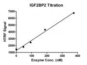 HTRF for IGF2BP2 activity