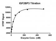 HTRF for IGF2BP3 activity