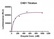 Recombinant CHD1 protein ADP-Glo activity assay