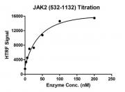 HTRF assay for Recombinant JAK2 (532-1132) protein activity