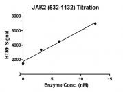 HTRF assay for Recombinant JAK2 (532-1132) protein activity