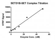 HTRF assay for SETD1B-SET Complex activity