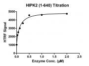 HTRF assay for HIPK2 (1-640) activity