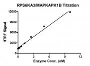 HTRF assay for RPS6KA3 / MAPKAPK1B activity