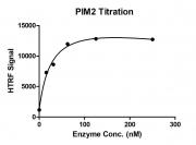 HTRF assay for PIM2 activity