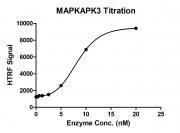 HTRF assay for MAPKAPK3 activity
