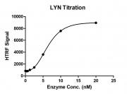 HTRF assay for LYN activity