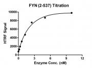 HTRF assay for FYN (2-537) activity