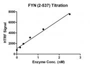 HTRF assay for FYN (2-537) activity