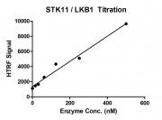 HTRF assay for STK11 / LKB1 activity