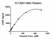 HTRF assay for FLT3 (571-993) activity