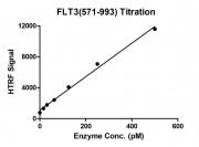 HTRF assay for FLT3 (571-993) activity