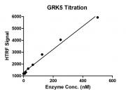 HTRF assay for GRK5 activity