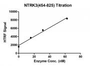 HTRF assay for NTRK3 (454-825) activity