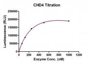 Recombinant CHD4 protein ADP-Glo activity assay