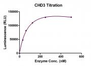 Recombinant CHD3 protein ADP-Glo activity assay