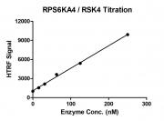 HTRF assay for RPS6KA4 / RSK4 activity