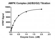 HTRF assay for AMPK Complex (A2+B2+G2) activity