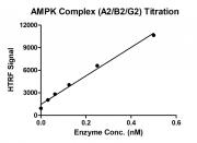 HTRF assay for AMPK Complex (A2+B2+G2) activity
