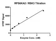 HTRF assay for RPS6KA2 / RSK3 protein activity