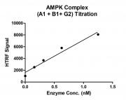 Recombinant AMPK Complex (A1+B1+G2) protein