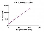 Recombinant MBD4-MBD protein activity assay