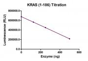 Recombinant KRAS (1-186) activity assay