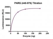 Recombinant PARG (448-976) protein ELISA assay
