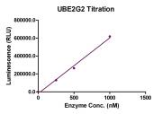 Recombinant UBE2G2 Activity Assay