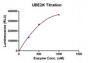 UBE2K activity assay